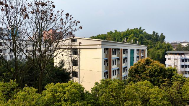 教学楼